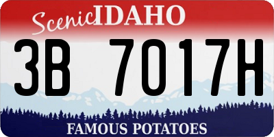 ID license plate 3B7017H