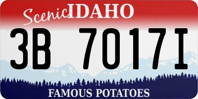 ID license plate 3B7017I