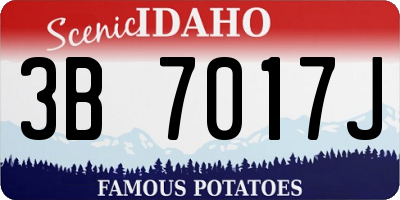 ID license plate 3B7017J