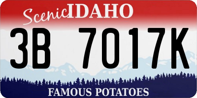 ID license plate 3B7017K