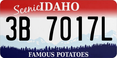 ID license plate 3B7017L