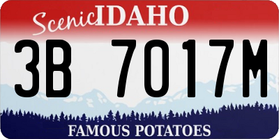 ID license plate 3B7017M