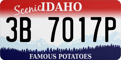 ID license plate 3B7017P
