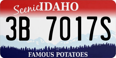 ID license plate 3B7017S
