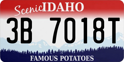 ID license plate 3B7018T
