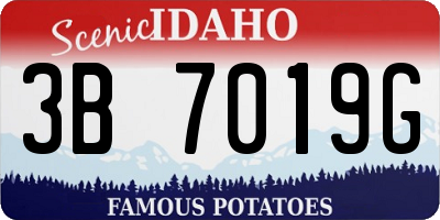 ID license plate 3B7019G