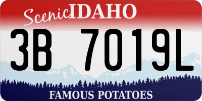 ID license plate 3B7019L