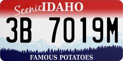 ID license plate 3B7019M