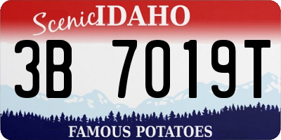 ID license plate 3B7019T