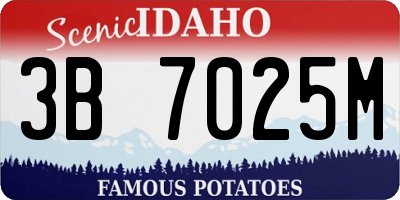 ID license plate 3B7025M
