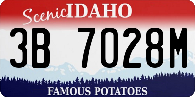 ID license plate 3B7028M