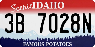 ID license plate 3B7028N