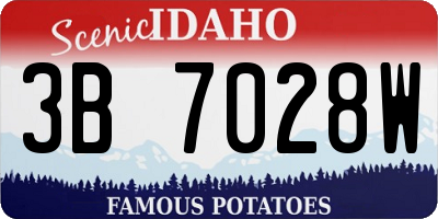 ID license plate 3B7028W