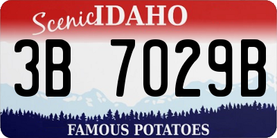 ID license plate 3B7029B