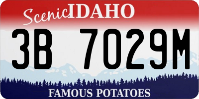 ID license plate 3B7029M