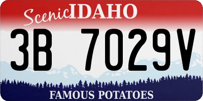 ID license plate 3B7029V