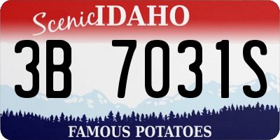 ID license plate 3B7031S