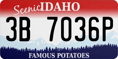 ID license plate 3B7036P