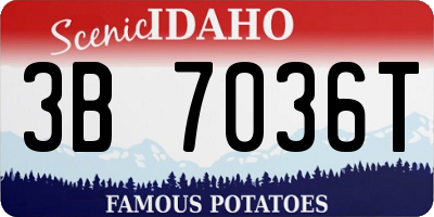 ID license plate 3B7036T