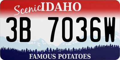 ID license plate 3B7036W