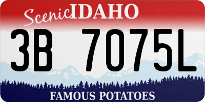 ID license plate 3B7075L