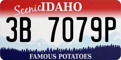 ID license plate 3B7079P