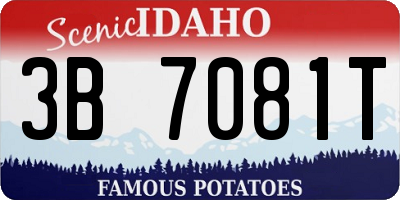ID license plate 3B7081T
