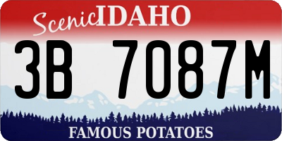 ID license plate 3B7087M