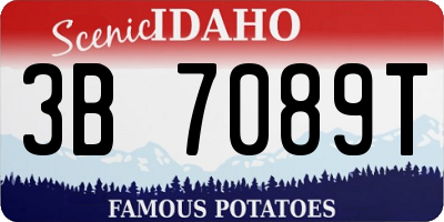 ID license plate 3B7089T