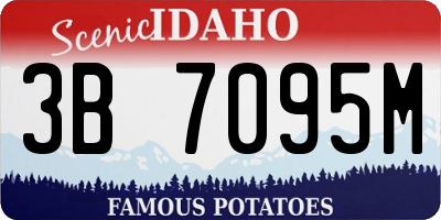 ID license plate 3B7095M