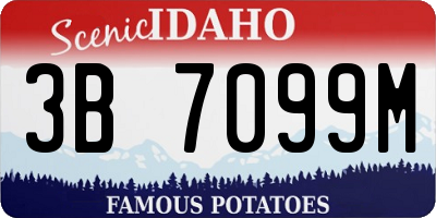ID license plate 3B7099M