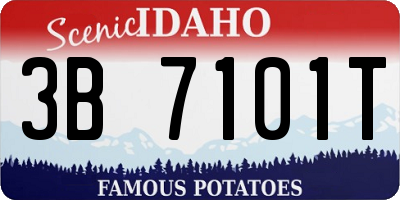 ID license plate 3B7101T