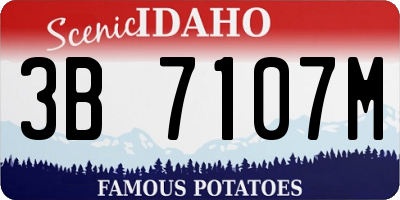 ID license plate 3B7107M