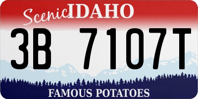 ID license plate 3B7107T