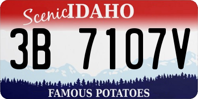 ID license plate 3B7107V