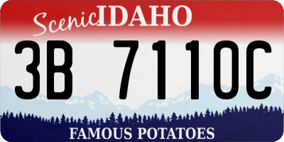 ID license plate 3B7110C