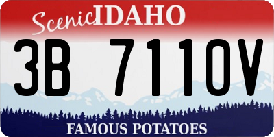 ID license plate 3B7110V