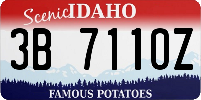 ID license plate 3B7110Z