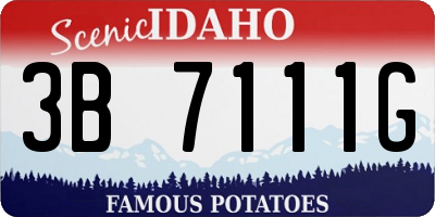 ID license plate 3B7111G