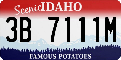 ID license plate 3B7111M