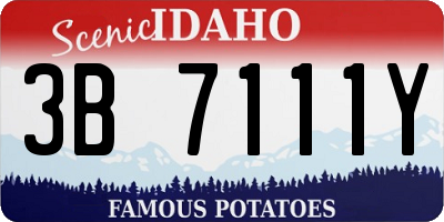 ID license plate 3B7111Y