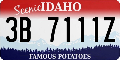 ID license plate 3B7111Z