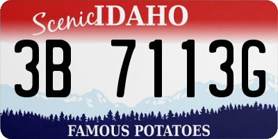 ID license plate 3B7113G