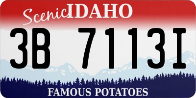 ID license plate 3B7113I