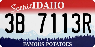 ID license plate 3B7113R