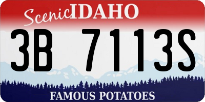 ID license plate 3B7113S