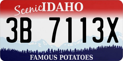 ID license plate 3B7113X