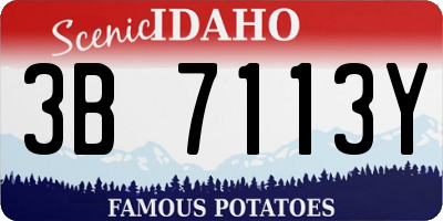 ID license plate 3B7113Y