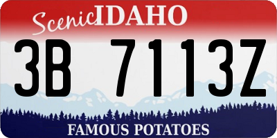 ID license plate 3B7113Z
