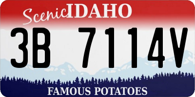 ID license plate 3B7114V